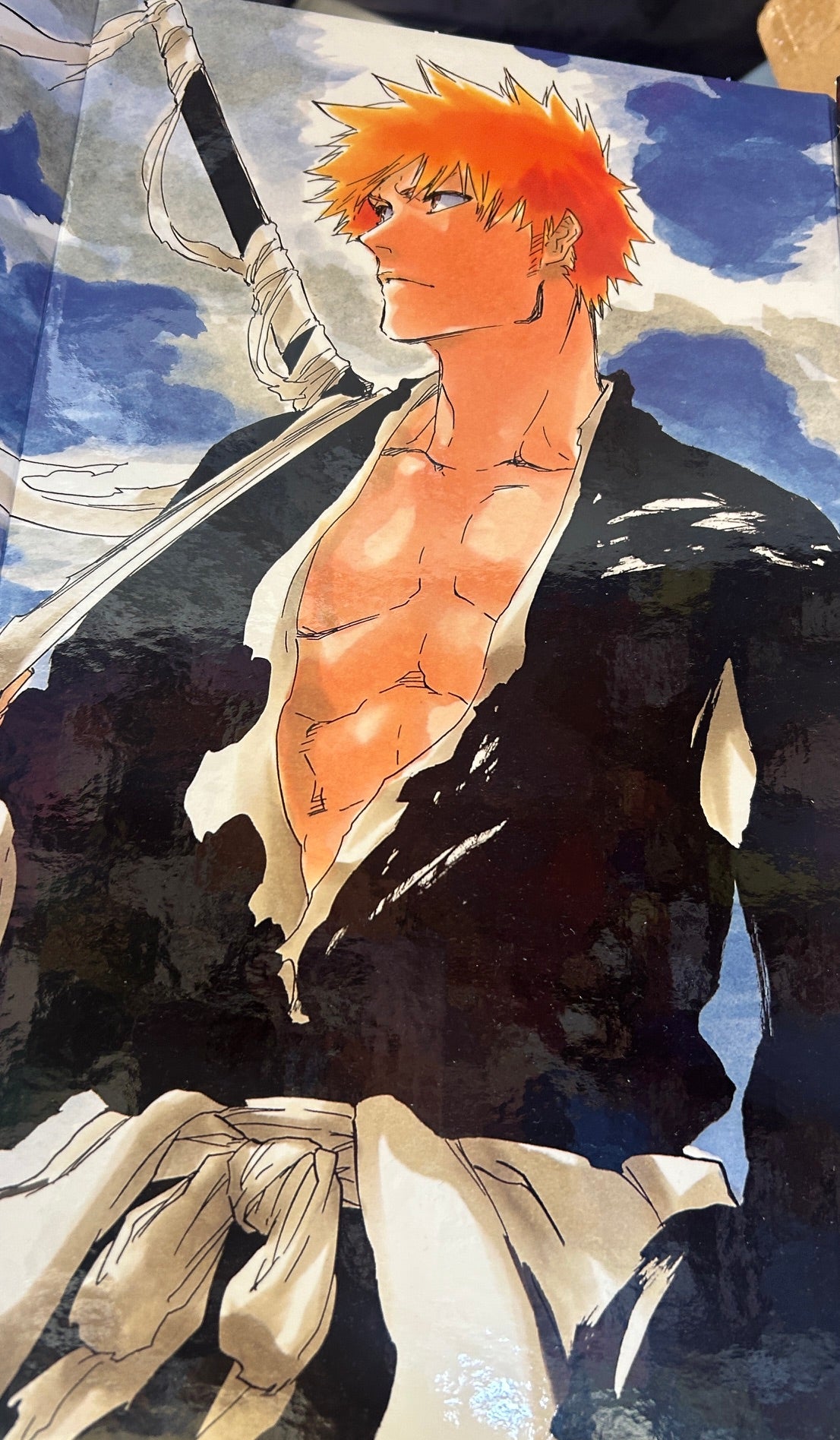 Bleach Box Set 3: Vols. 49-74