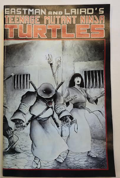 Teenage Mutant Ninja Turtles #17 1988 FN-VF Vintage Comic