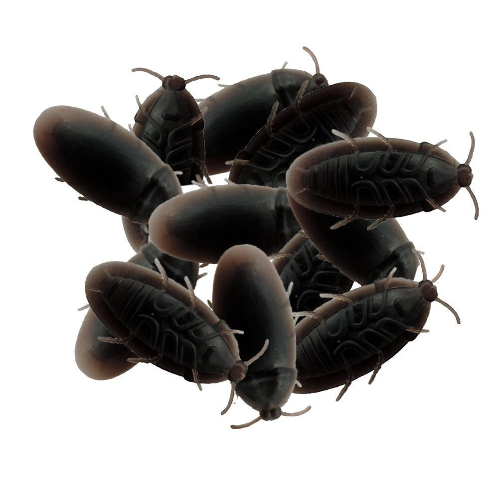 cucarachas