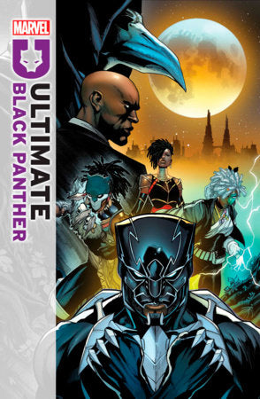 ULTIMATE BLACK PANTHER #10 11/27/24