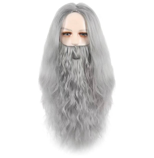 Wizard Wig & Beard Gray