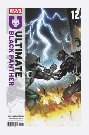 ULTIMATE BLACK PANTHER #12 1/08/2025