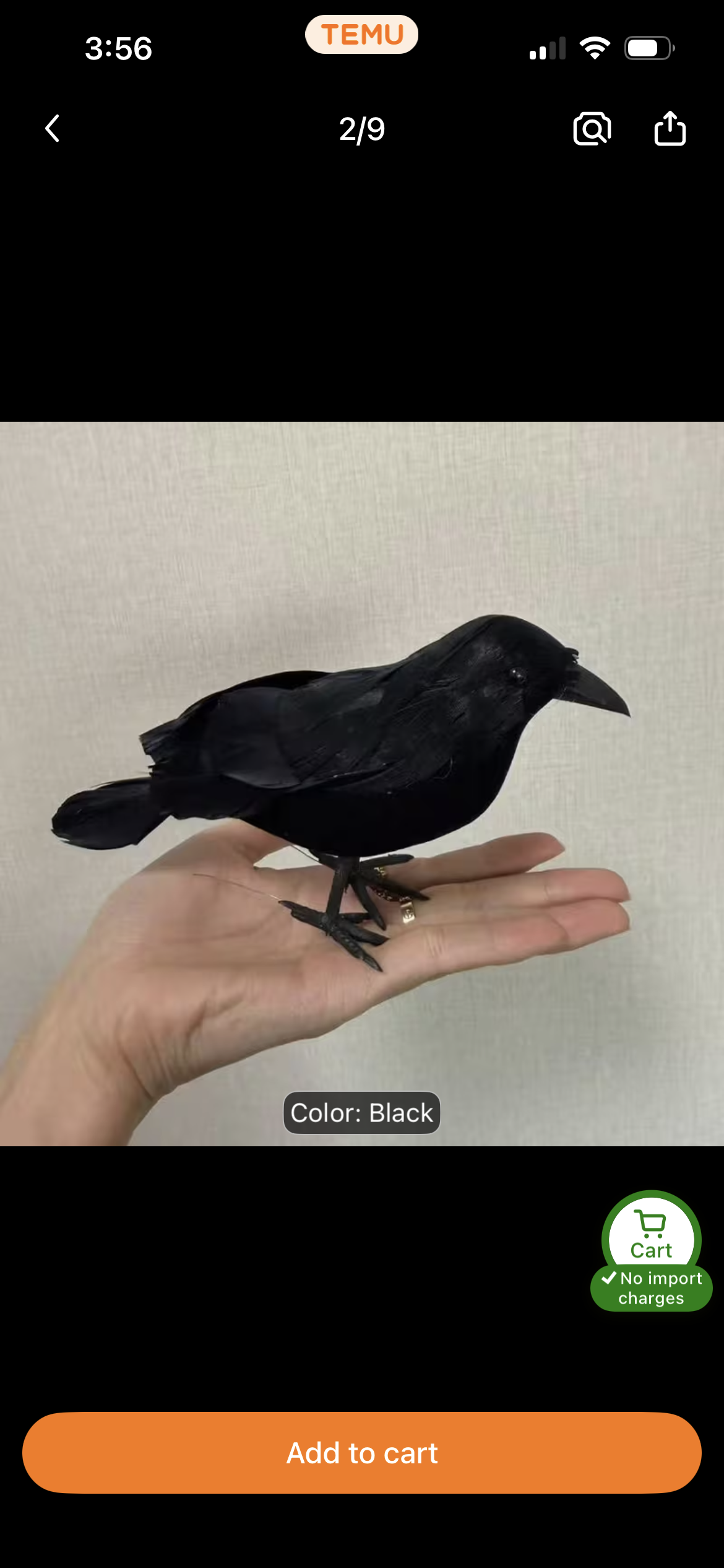 Black Raven / Crow / Bird