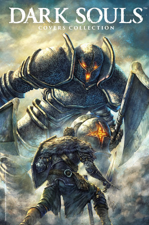 Dark Souls: Cover-Sammlung