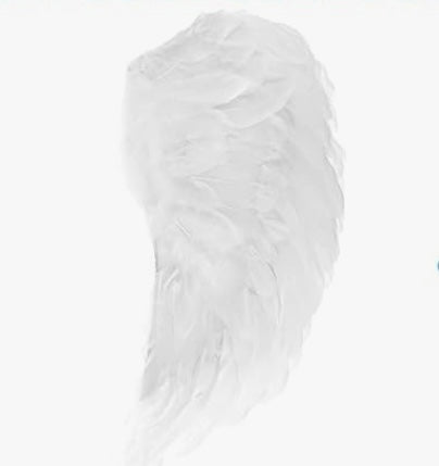 Angel Wings (23" span)
