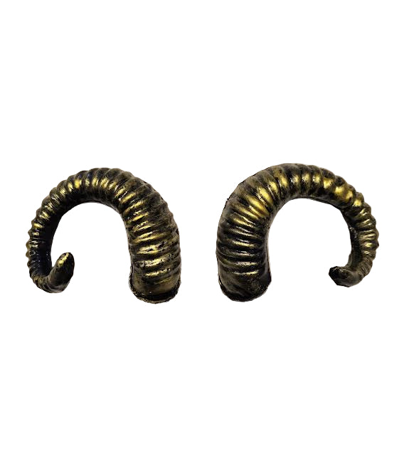 Pair of metallic gold curly horns about 10 inches long
