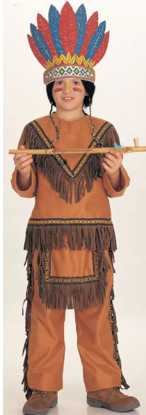 Deluxe Native American Boy