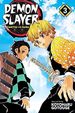 Demon Slayer: Kimetsu No Yaiba, Vol. 3 (Demon Slayer: Kimetsu No Yaiba #3) TP